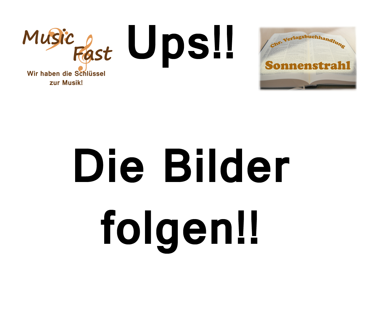 Diskantknopf steirische Harmonika Horn natur