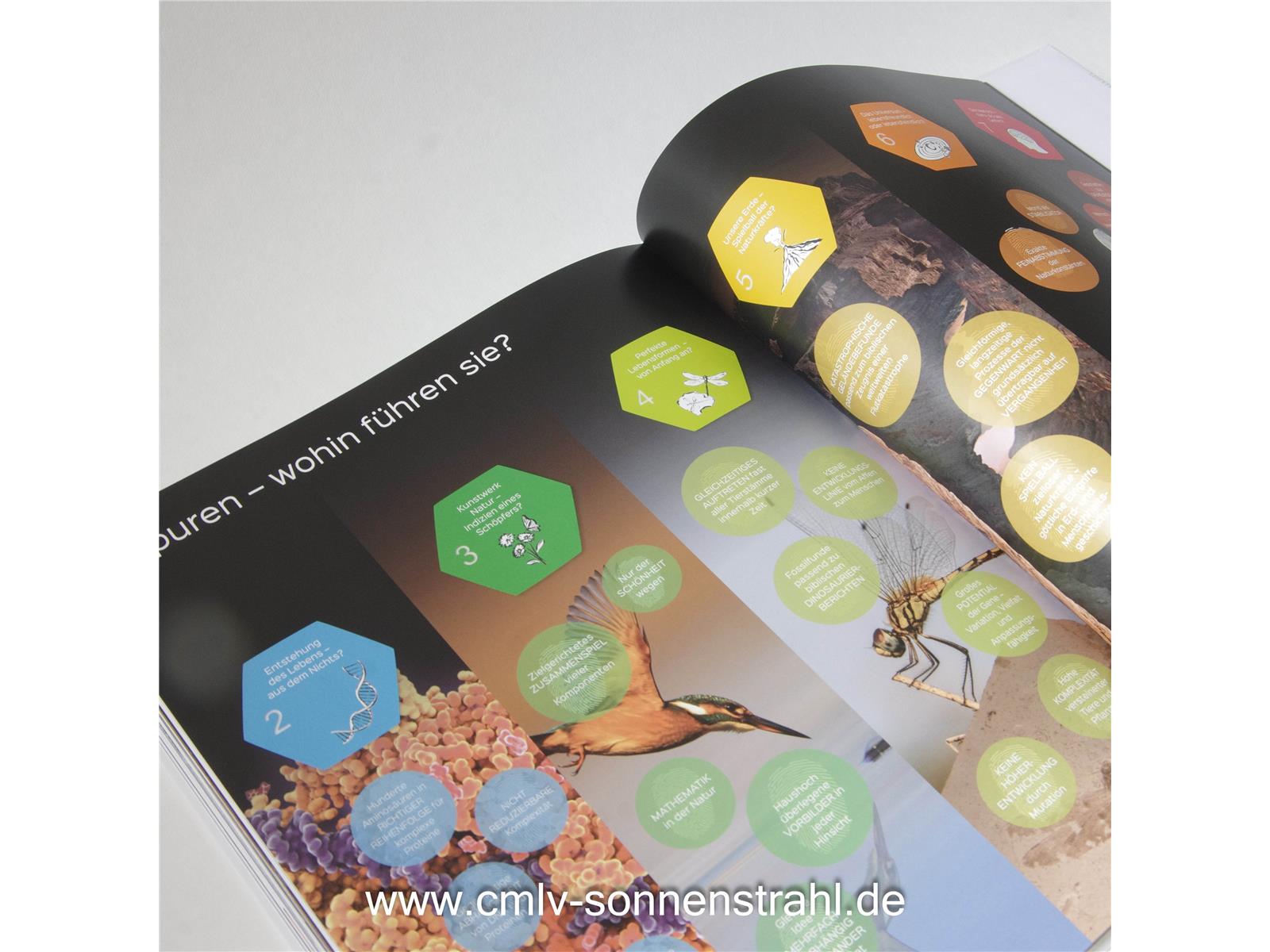 Auf den Spuren des Unsichtbaren