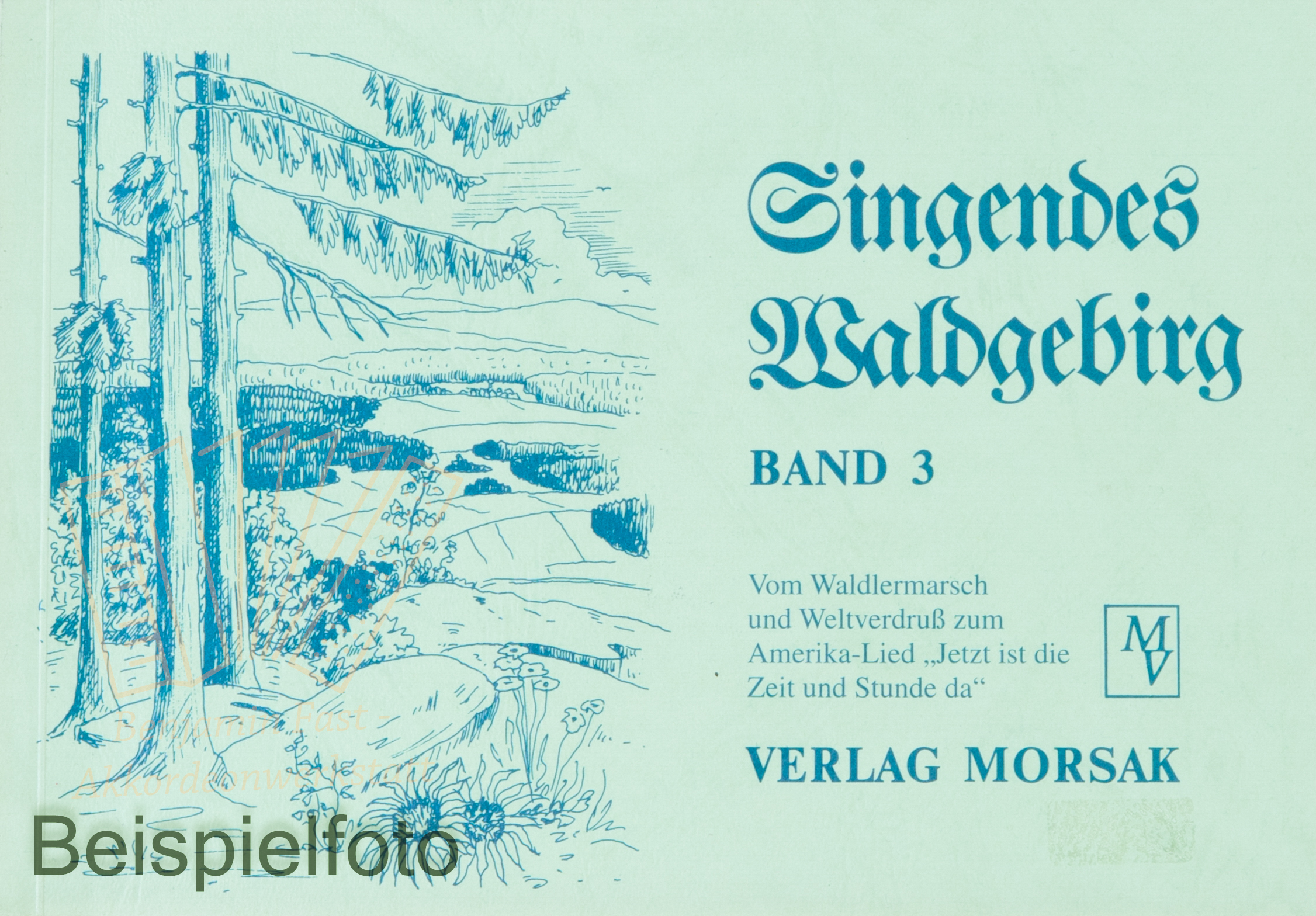 Singendes Waldgebirg 3 - Antiquariat