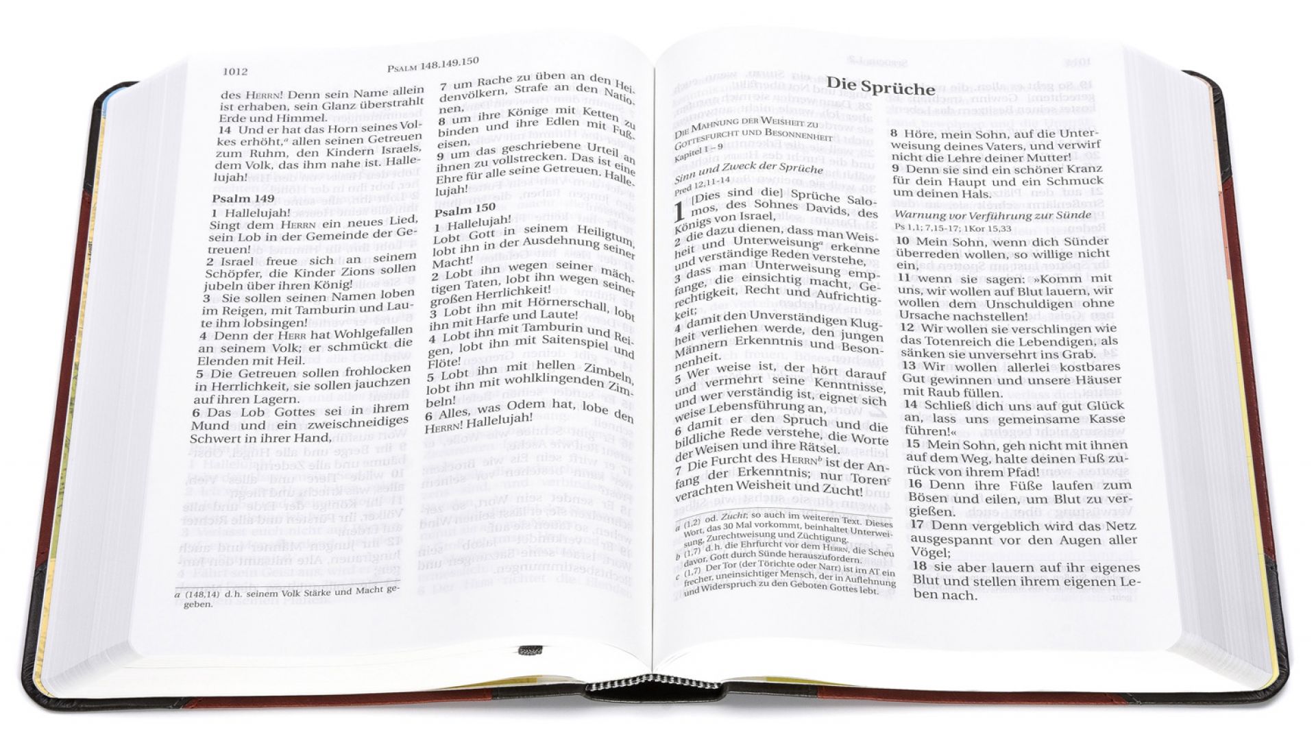 Schlachter 2000 - Großdruckausgabe (Softcover, grau/braun) Schlachter 2000 - Großdruckausgabe (Softcover, grau/braun)