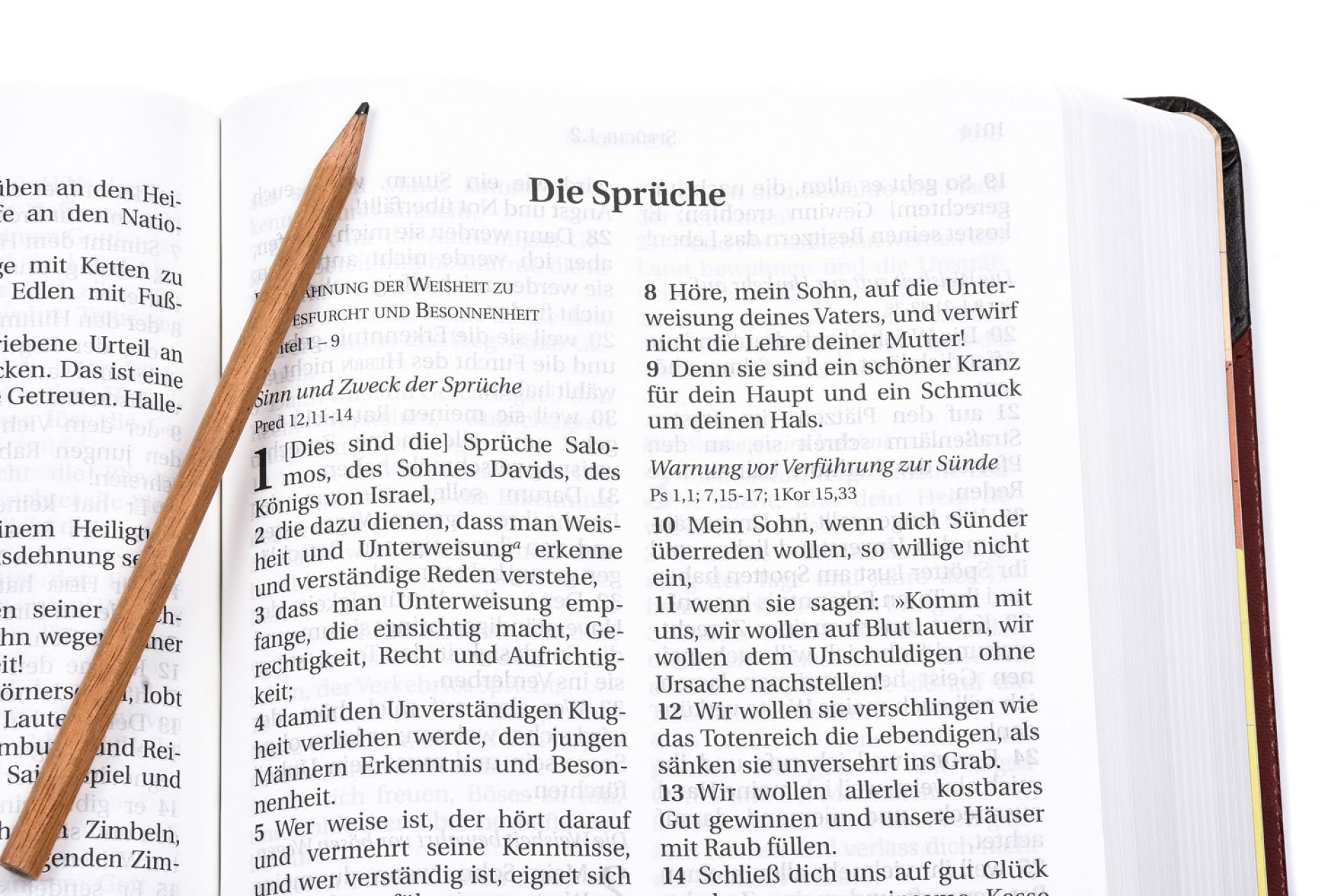 Schlachter 2000 - Großdruckausgabe (Softcover, grau/braun) Schlachter 2000 - Großdruckausgabe (Softcover, grau/braun)