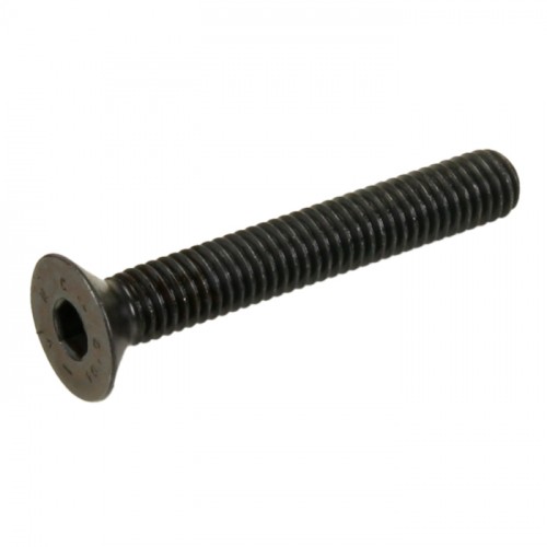 Innensechskantschraube M6 x 40 schwarz Innensechskantschraube M6 x 40 schwarz