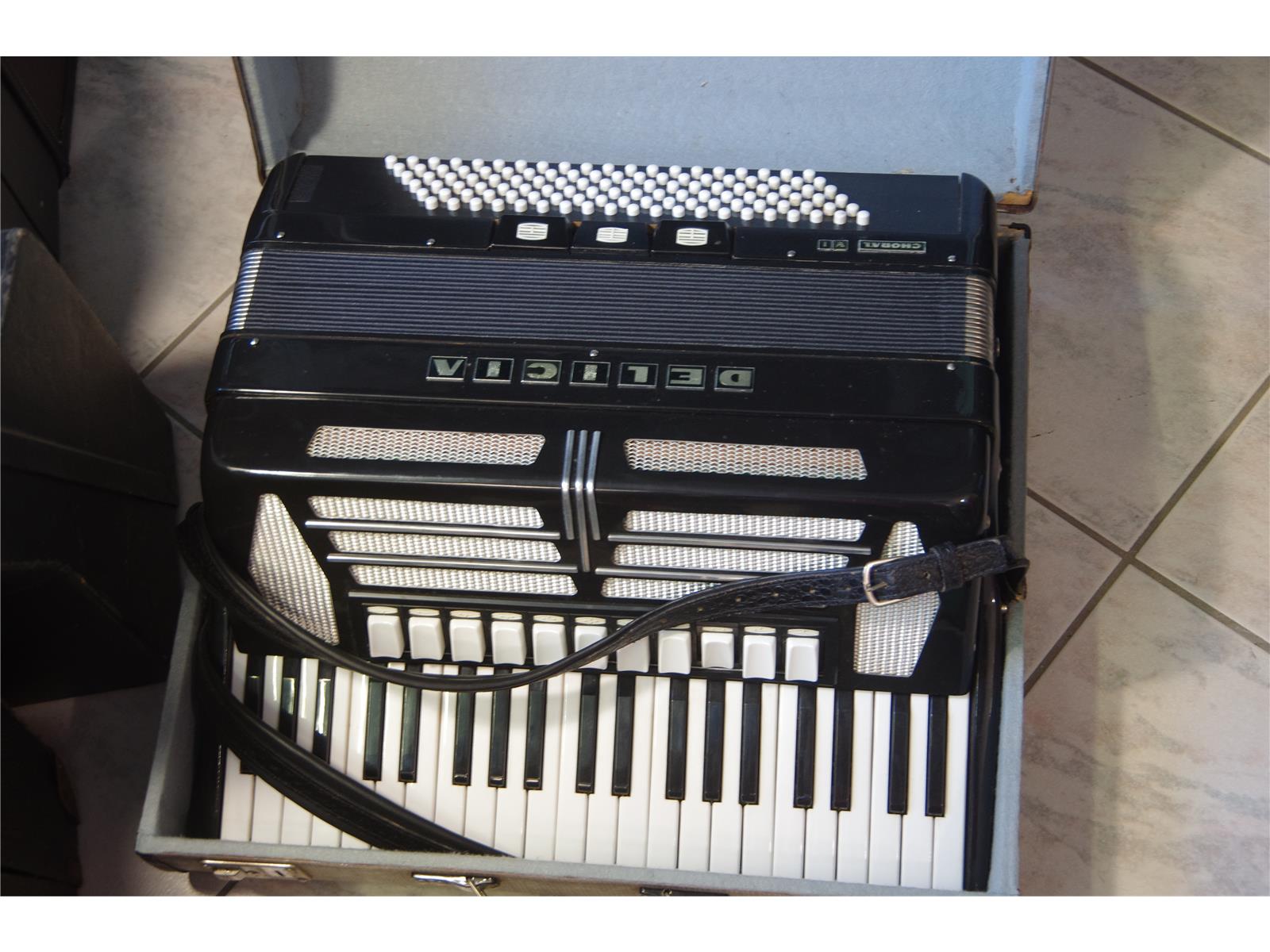 Akkordeon Delicia Choral VI gebraucht