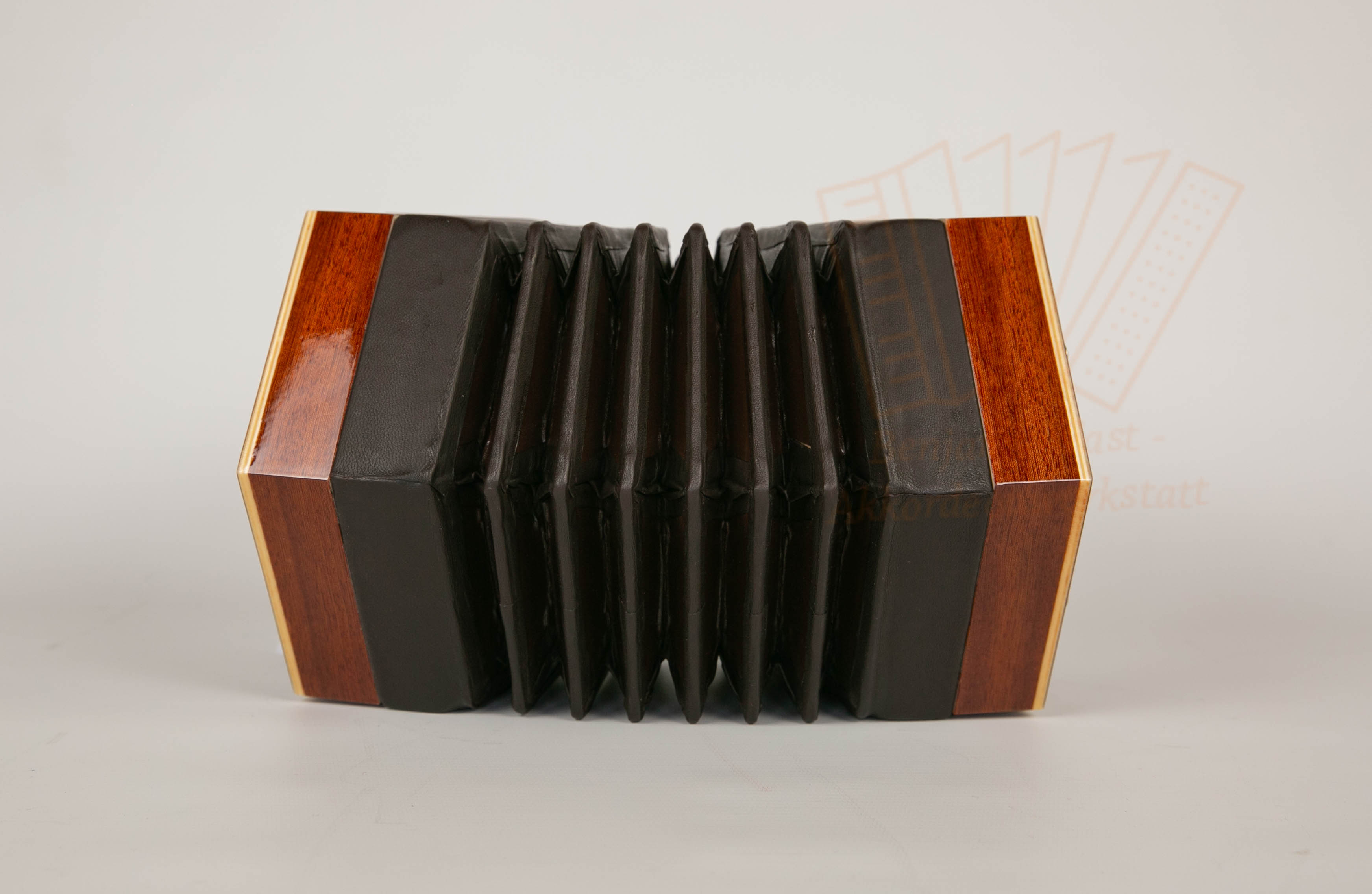 Konzertina Englische Concertina Stagi A-48 - chromatisch/gleichtönig