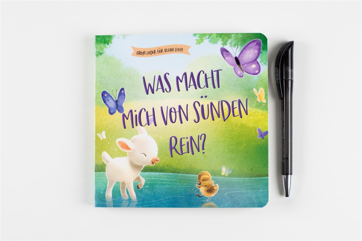 Was macht mich von Sünden rein? (Pappebuch)