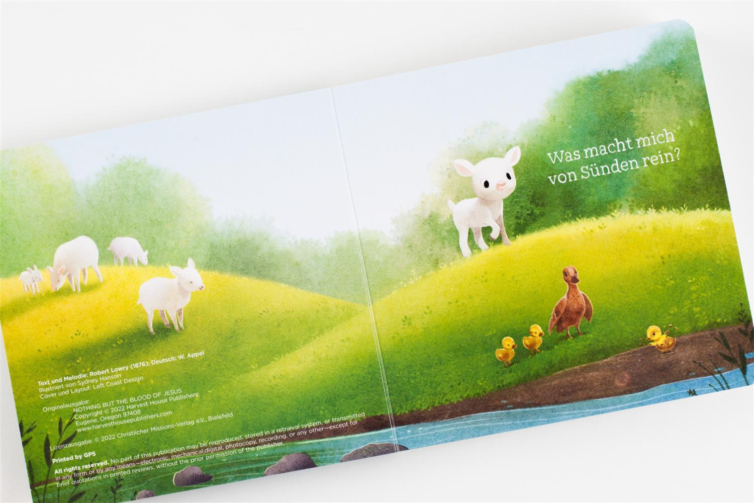 Was macht mich von Sünden rein? (Pappebuch)