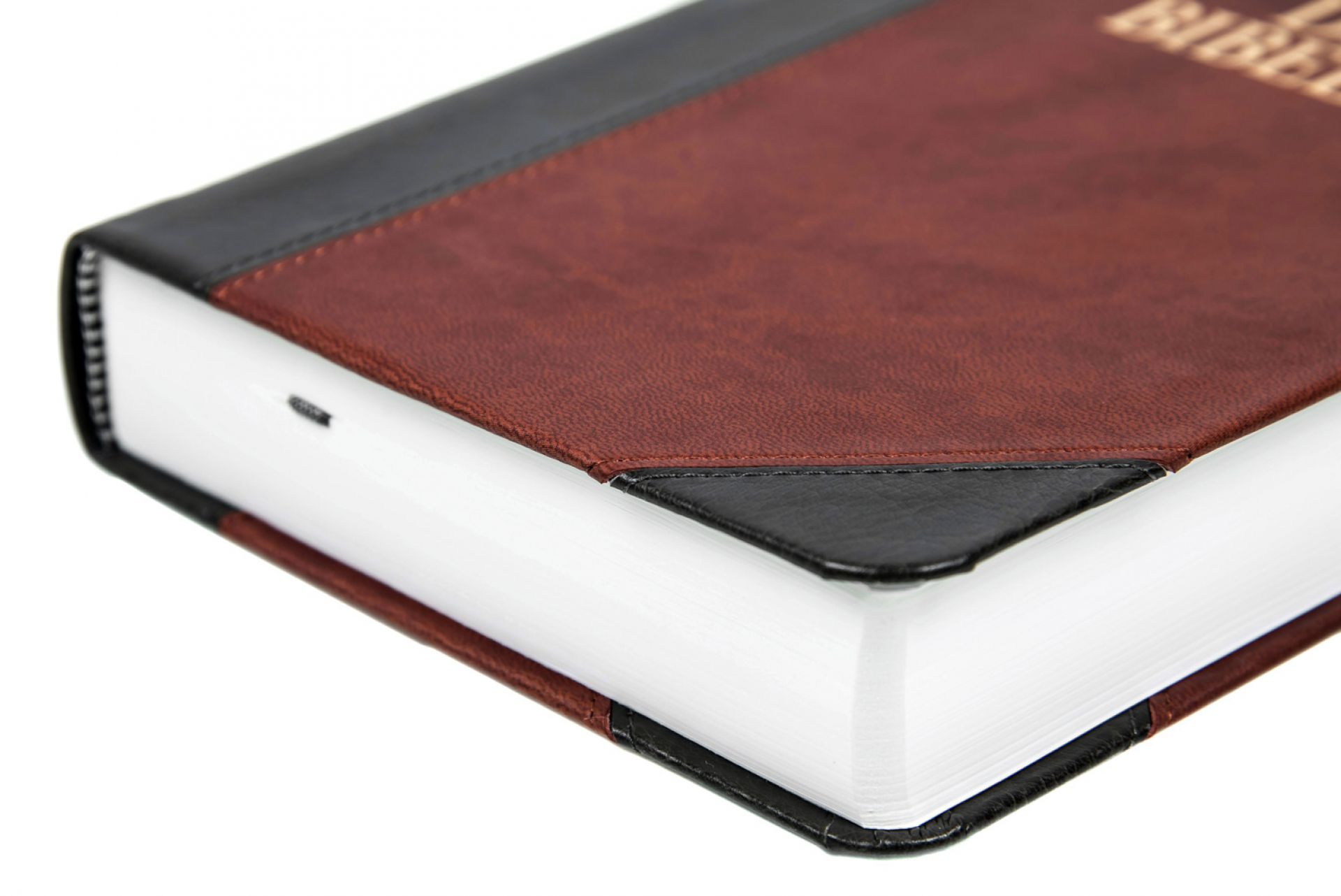 Schlachter 2000 - TA (Softcover, grau/braun) Schlachter 2000 - TA (Softcover, grau/braun)