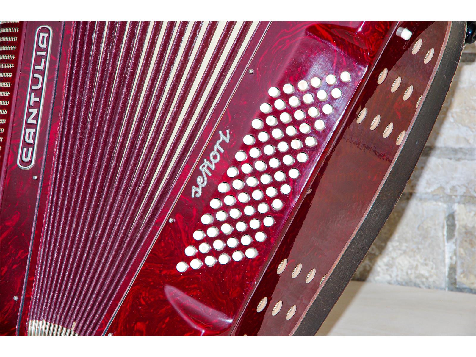 Akkordeon Cantulia Senorita 72 Bass