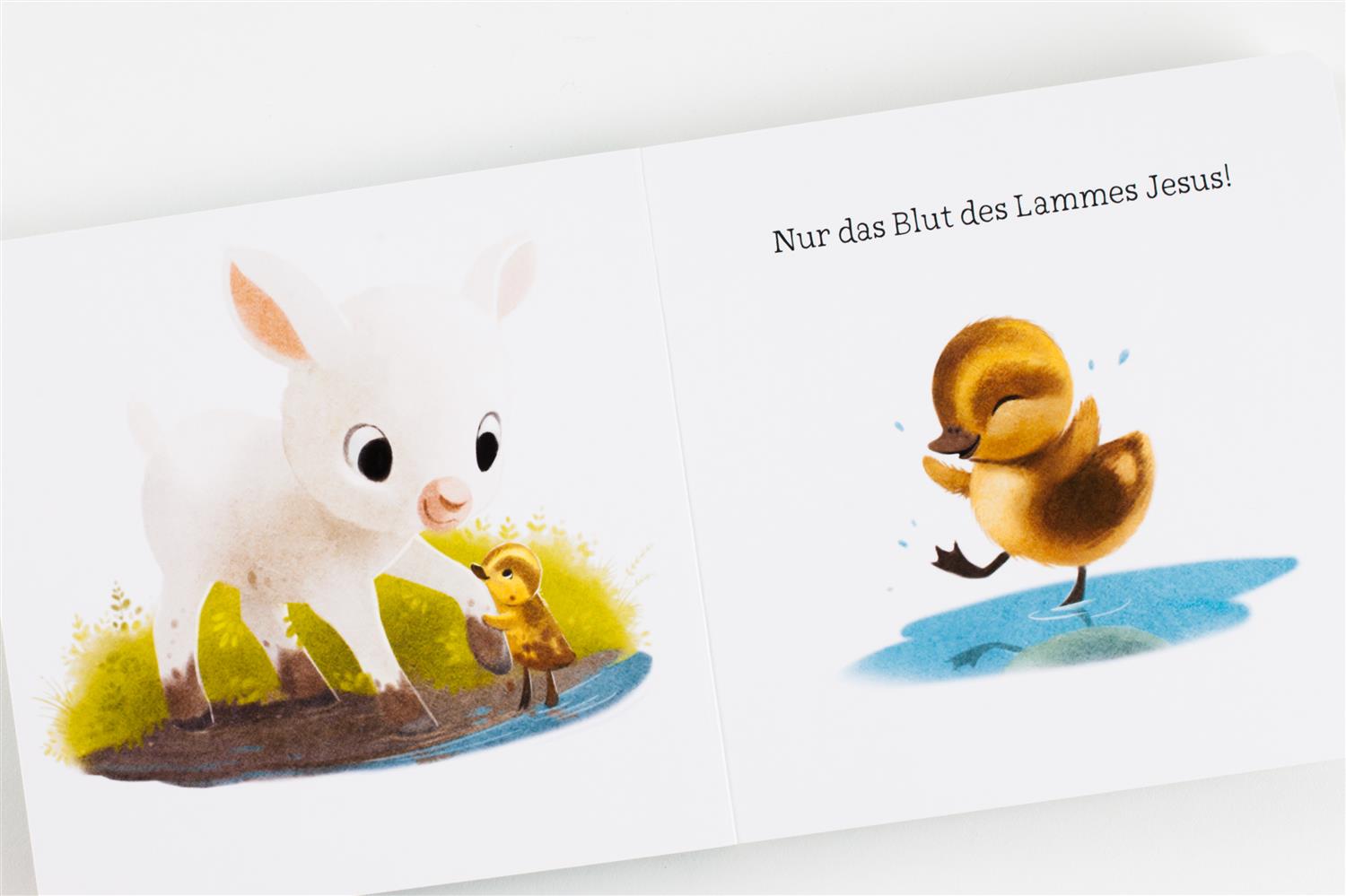 Was macht mich von Sünden rein? (Pappebuch)