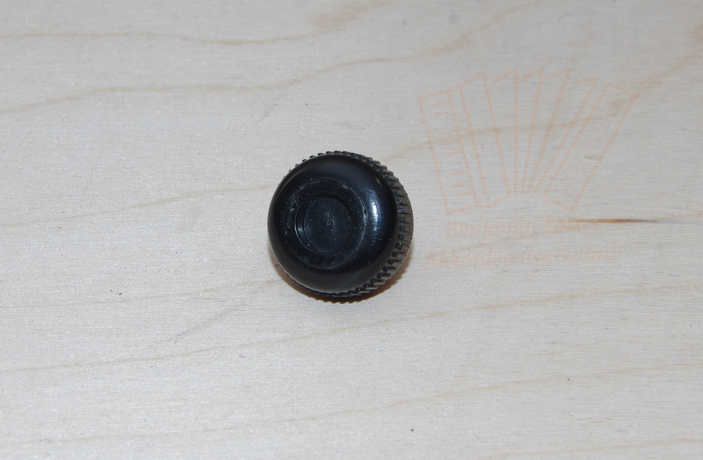 Fuß - Rändelschraube Hohner Atlantic, Pirola, Luica Fuß - Rändelschraube Hohner Atlantic, Pirola, Luica, gebraucht